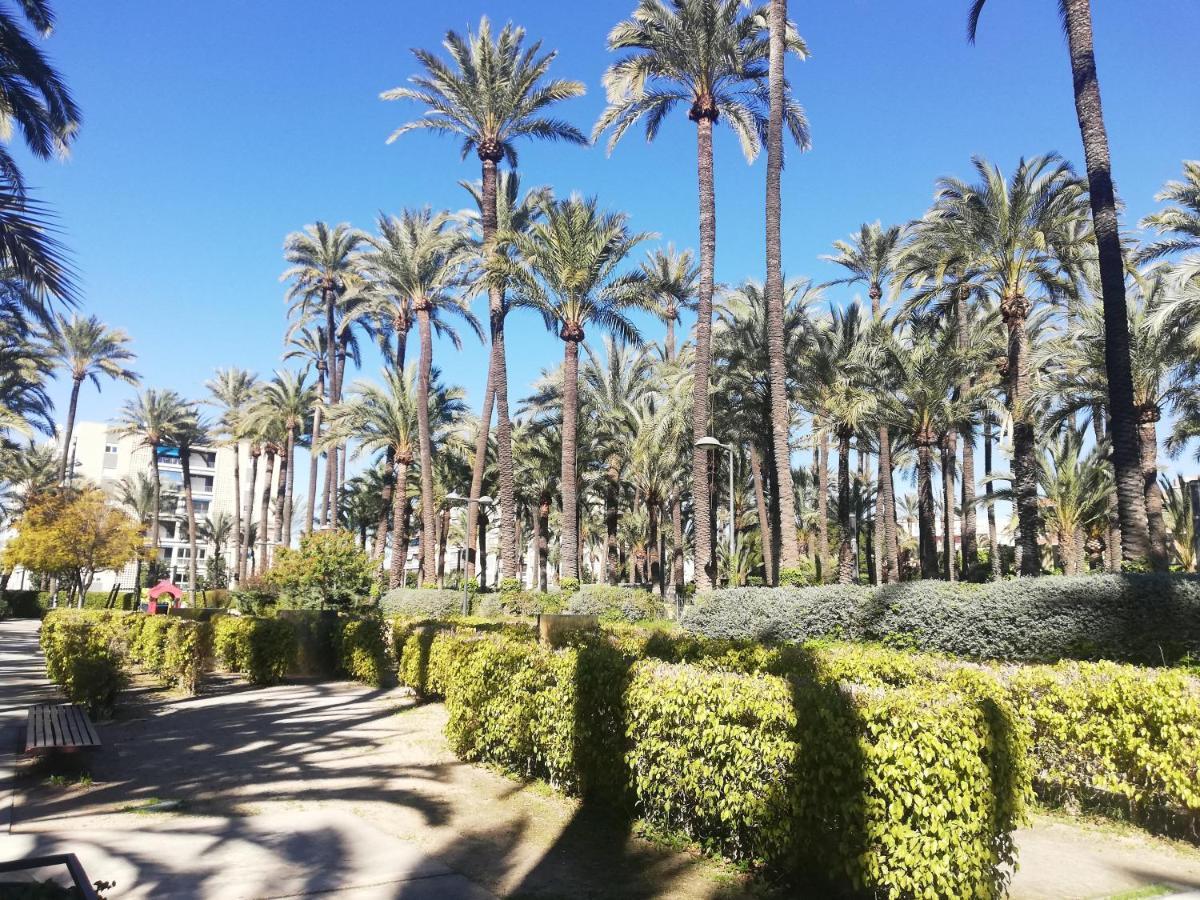 Santa Pola Salamanca 10 Apartamento, Garaje Subterraneo, Fibra Optica, Lavavajillas, Aire Acondicionado, Gran Terraza, Grand Playa 450M 외부 사진